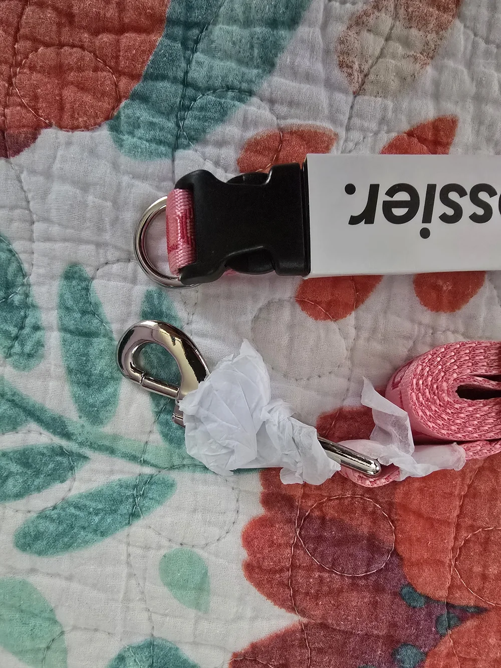 Glossier pink pet